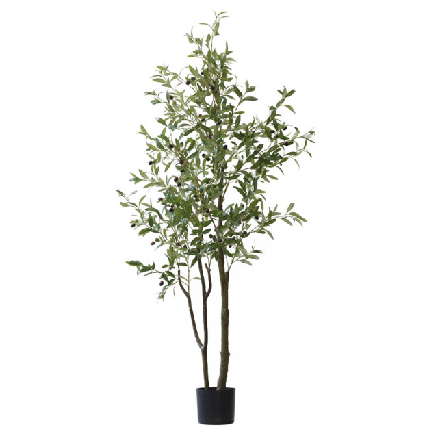 4573405818403-2.jpg?t=