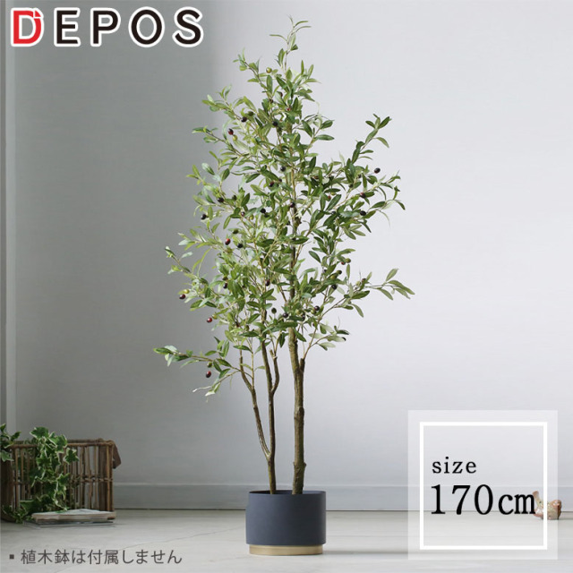 フェイクグリーン オリーブ170cm Olive Tree