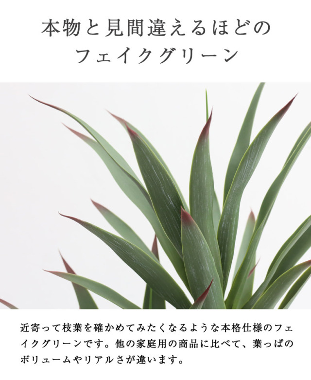 フェイクグリーン ユッカ 170cm （Yucca elephantipes）