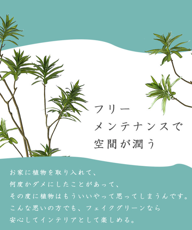 フェイクグリーン ドラセナ ソングオブインディア 180cm （Dracaena