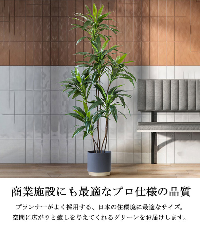 フェイクグリーン ドラセナ ワーネッキー 150cm （Velveteen 150cm ）