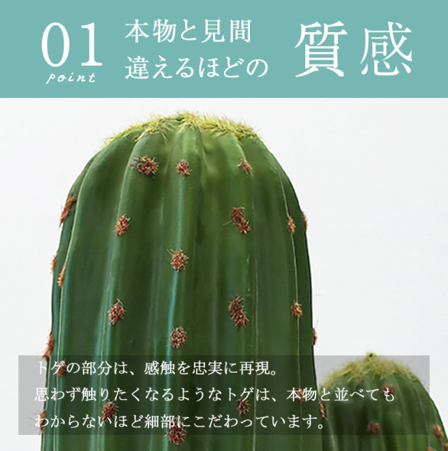 フェイクグリーン サボテン 150cm （cactus 150cm ）