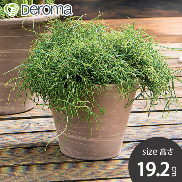 DEROMA デロマ ヴァサム デュオ ホワイトストライプ 25×19cm 受け皿付き