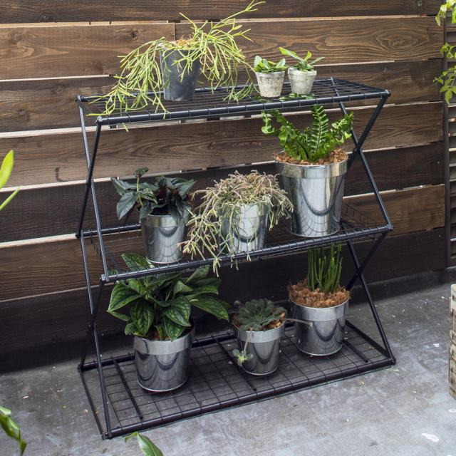 温室 パンタグラック Sサイズ 【送料無料】  tks1