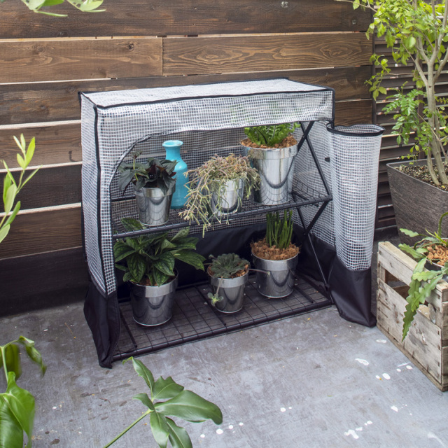 温室 パンタグラックハウス Sサイズ カバー付き 【送料無料】  tks1