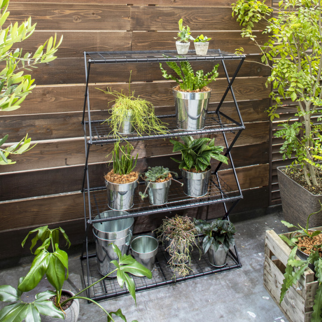 温室 パンタグラック Lサイズ 【送料無料】  tks1