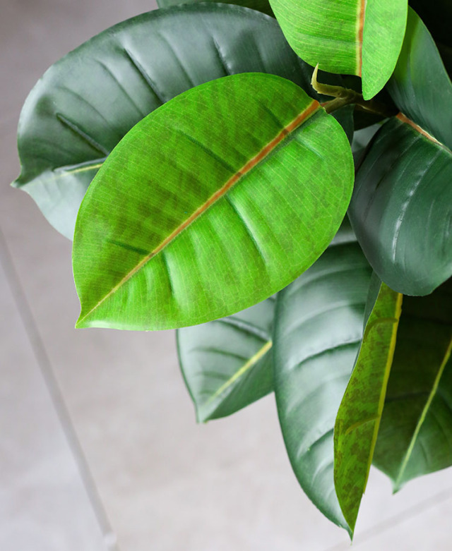 フェイクグリーン ゴムの木 150cm （Rubber tree ）