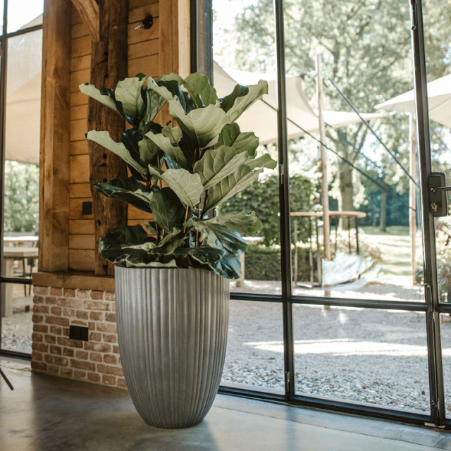 カピ ベースエレガントロウ チューブ 高さ59cm（Capi Vase elegant low