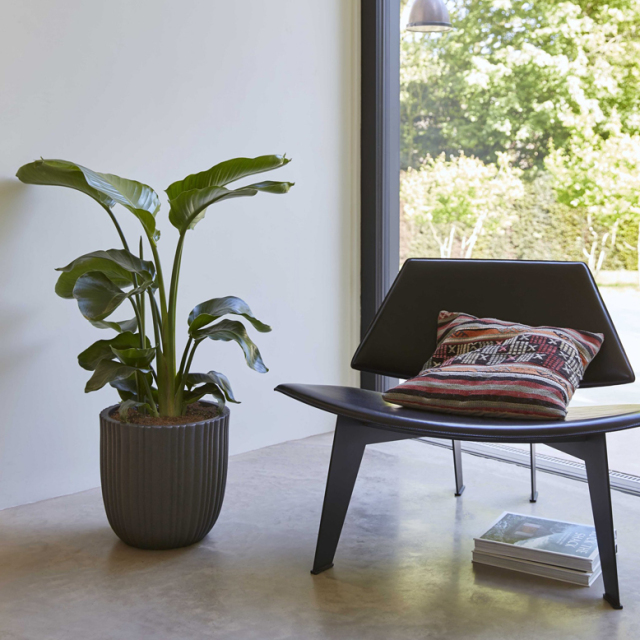 capi 花瓶 カピ プランターボール チューブ 高さ52cm（capi planter ball tube）