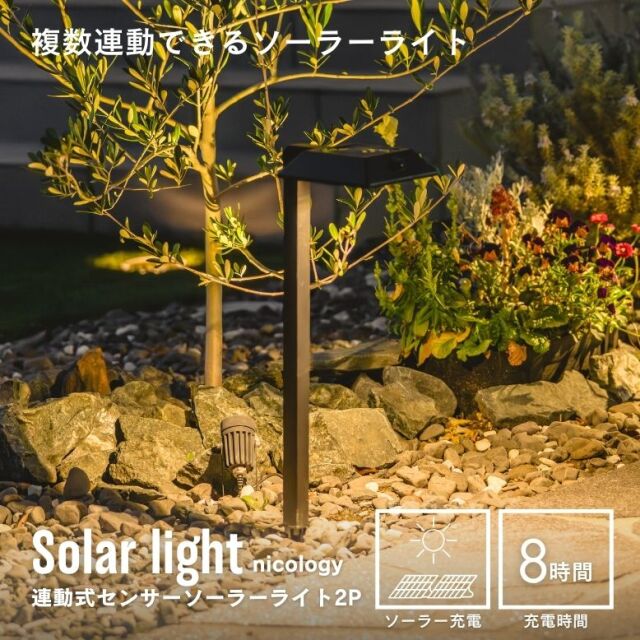 ソーラーライト　連動式センサーソーラーライト ニコロジー2P【送料無料】