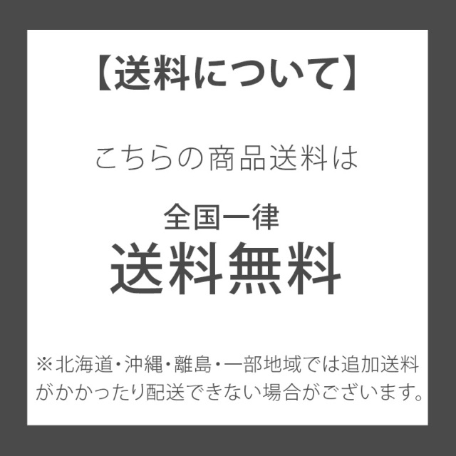 ブローライト スノーマン ブルー ブローライト スノーマン LIT-BL03L 4975149726158