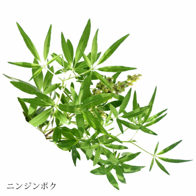 uju-ninjinboku-3.jpg?t=