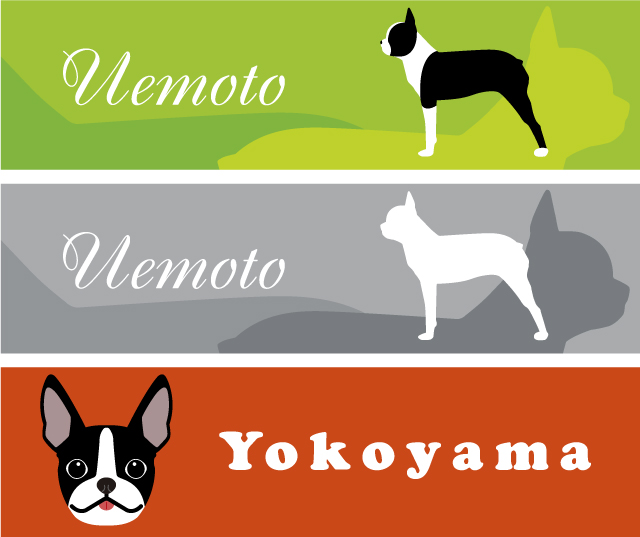 ボストンテリア