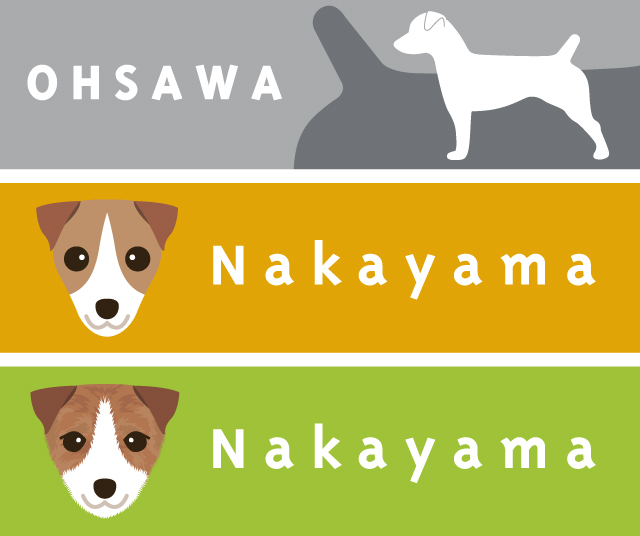 ジャックラッセルテリア