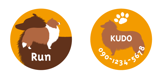 シェルティーのメイン画像