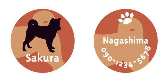 シバのメイン画像