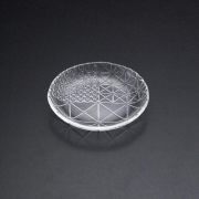 ガラスの皿 舫 深皿2225W