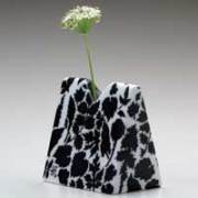 三角花瓶/植物ポジ