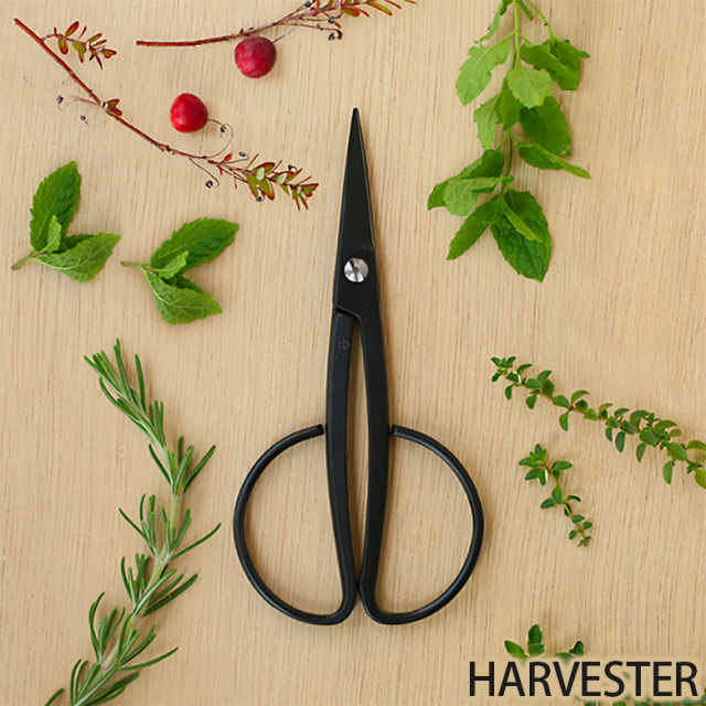 職人がつくった コンパクトな花ばさみ 園芸用ハサミ ガーデニング 花道