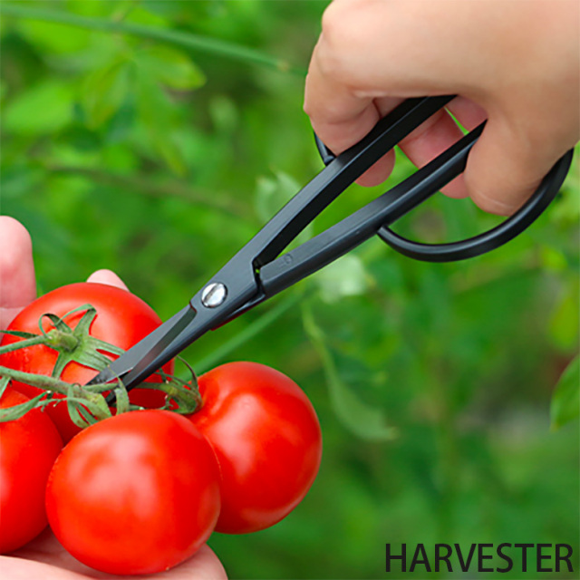 職人がつくった コンパクトな花ばさみ 園芸用ハサミ ガーデニング 花道