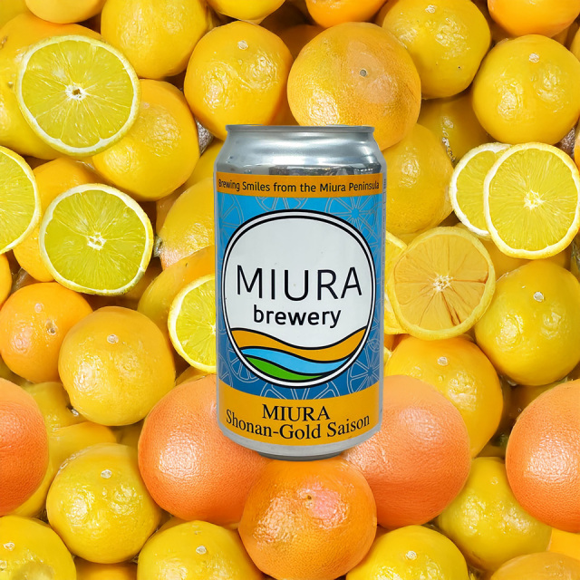 三浦ブルワリー クラフトビール ギフトセット