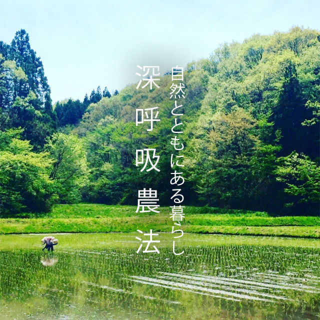 能登の玄米で作った 甘酒 糀発酵 無添加 砂糖不使用 玄米がユメヲミタ 山燕庵 ノンアルコール