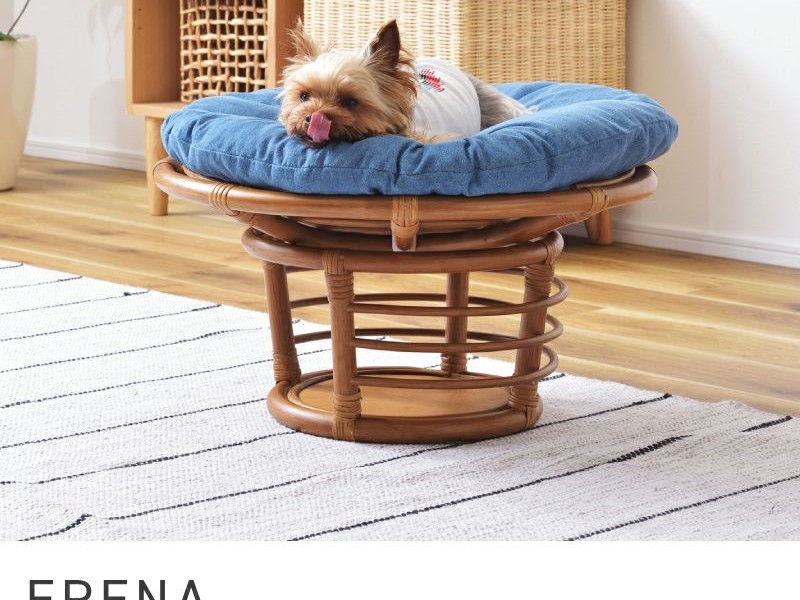 スツール 高さ35cm ペットスツール ペットベッド チェア 椅子 いす イス ERENA