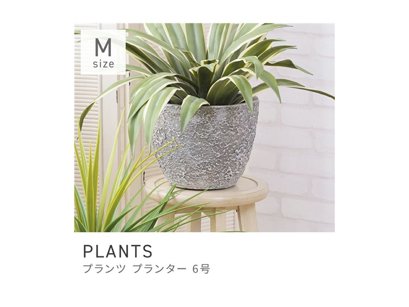 プランター 植木鉢 6号用 約31×31cm 深型 陶器風 アートストーン PLANTS