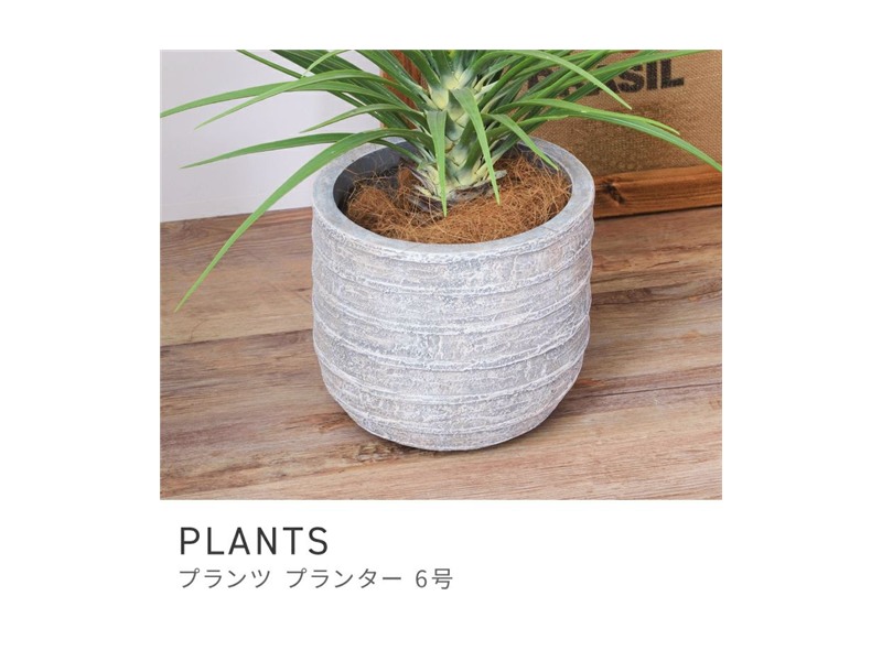 プランター 植木鉢 6号用 約25.5×25.5cm 深型 陶器風 PLANTS