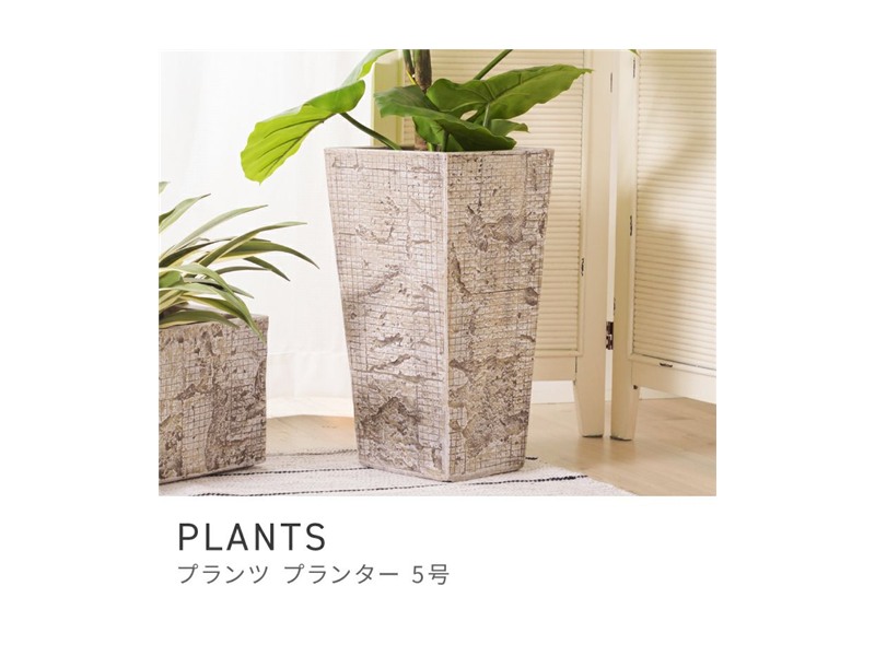プランター 植木鉢 5号用 約24×24cm 深型 縦長 ハイタイプ 陶器風 PLANTS