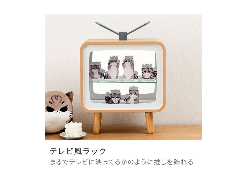 コレクションラック コレクションケース コレクション収納 棚高さ5段階