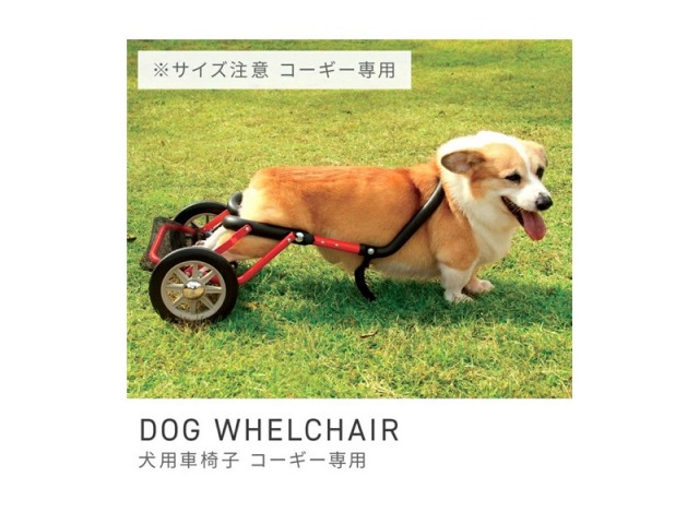 [コーギー用] 犬用 歩行器 歩行補助 車いす サポート 車椅子 ペット車椅子 アルミ 完成品 軽い 幅38cm