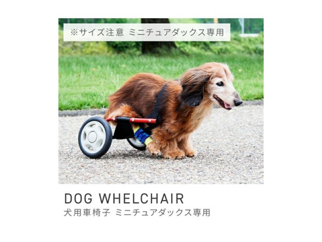 犬用車椅子 車いす ミニチュアダックスフンド専用 ペット 介護用品