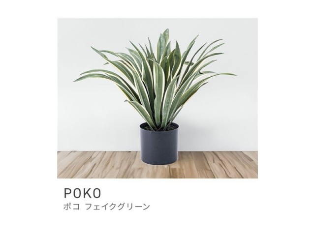 フェイクグリーン アガベ 多肉植物 人工観葉 観葉植物 インテリア 造花 POKO