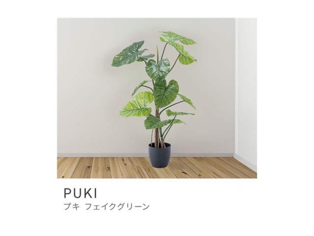 フェイクグリーン アロカシア クワズイモ 高さ約117cm 木 樹木 PUKI