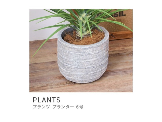プランター 植木鉢 6号用 約25.5×25.5cm 深型 陶器風 PLANTS