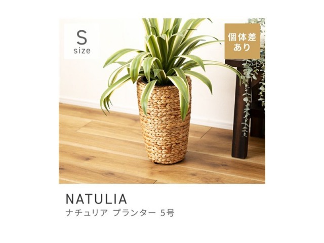 [Sサイズ]プランター ウォーターヒヤシンス 鉢植え 植木ポット 花器 NATULIA