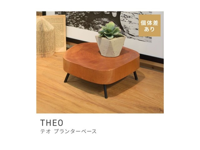 プランターベース 土台 プランター置き 鉢置き 木製 天然木 無垢材 切り株 THEO