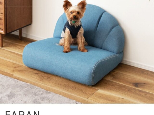 座椅子 スタイリッシュ ペットソファ ペット ソファ 犬 猫 座イス 座いす FARAN