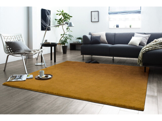 ラクダに触れたようなサラサラ感のラグ