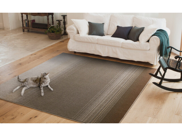 ペットと一緒に過ごせる消臭ラグ