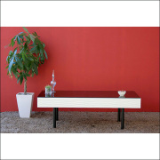 【送料無料】(6月23日)入荷分 安心の日本製 完成品 モダンなデザインのセンターテーブル