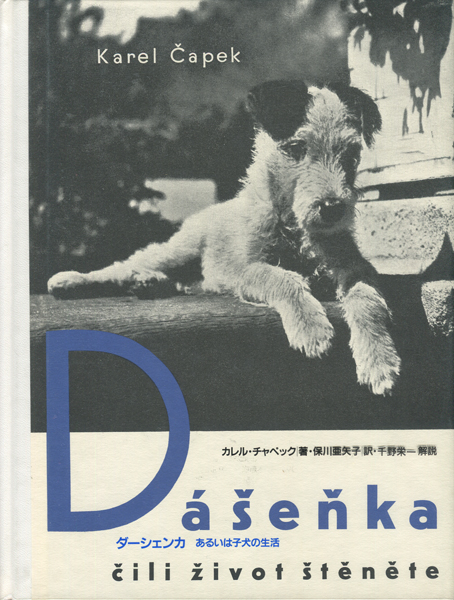 ダーシェンカ　あるいは子犬の生活