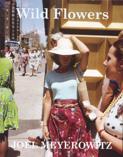 Joel Meyerowitz: Wild Flowers