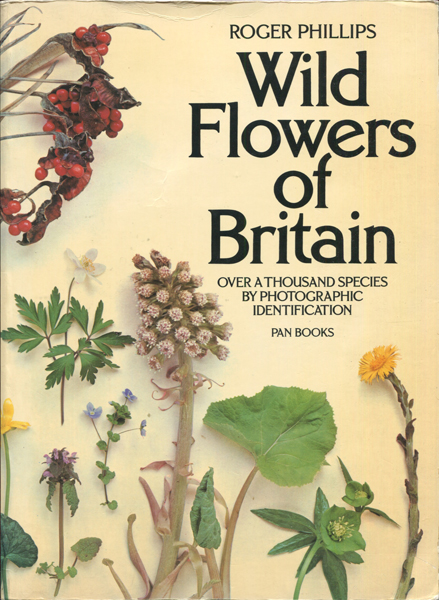 Wild Flowers of Britain