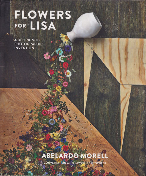 Abelardo Morell: Flowers for Lisa