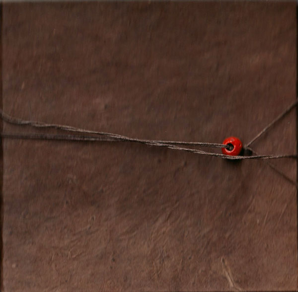 Gregory Colbert: Ashes and Snow the film DVD