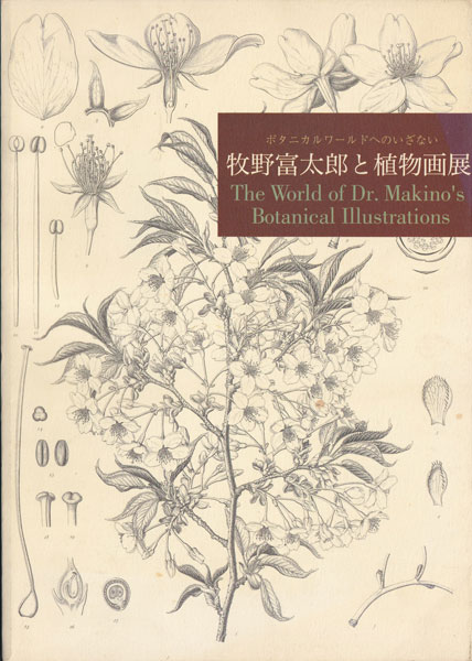 ボタニカルワールドへのいざない　牧野富太郎と植物画