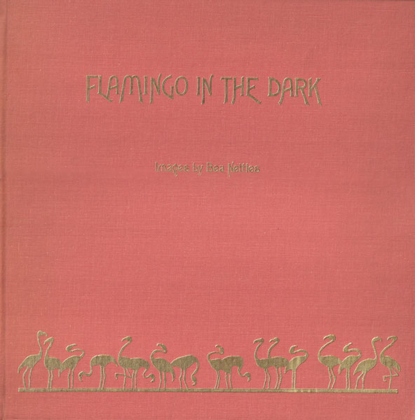 Bea Nettles: Flamingo in the Dark