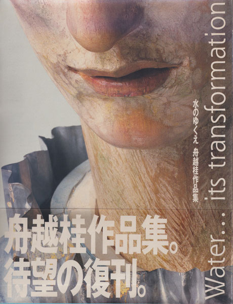 水のゆくえ 舟越桂作品集